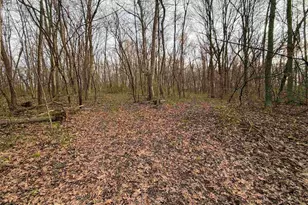 E5390 Parker Dr, Viroqua, WI 54665 - Photo 61