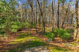 1925 19th Pass, Arkdale, WI 54613 - Photo 49