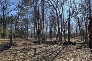 1985 14th Dr, Friendship, WI 53934 - Photo 17