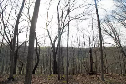 S8642 County Road N, Plain, WI 53577 - Photo 29