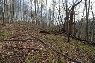 S8642 County Rd N, Plain, WI 53577 - Photo 27