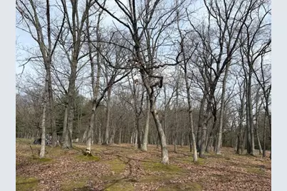 Lot 13 2nd Court, Oxford, WI 53952 - Photo 15