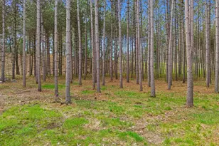 222 County Rd Z, Nekoosa, WI 54457 - Photo 49