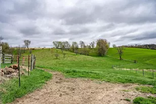 N1570 County Rd I, Wonewoc, WI 53968 - Photo 43