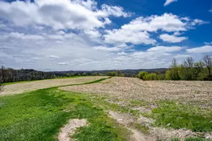 N1570 County Rd I, Wonewoc, WI 53968 - Photo 49