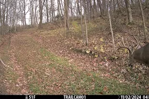 23958 Brown Ridge Rd, Scott, WI 53805 - Photo 83