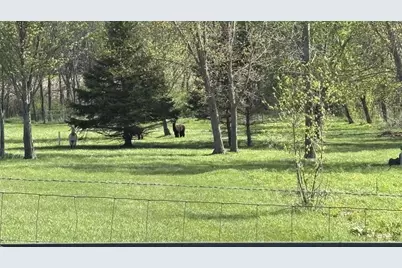 W9521 Dog Hollow Road, Argyle, WI 53504 - Photo 41