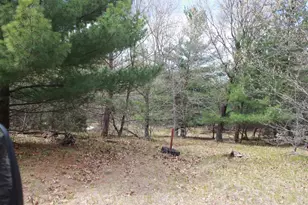 2590 14th Ct, Adams, WI 53910 - Photo 57