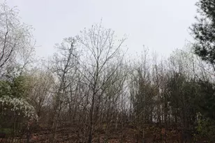 2590 14th Ct, Adams, WI 53910 - Photo 51