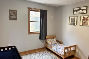203 Main St, Ridgeway, WI 53582 - Photo 27