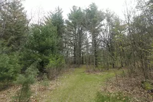 N676 15th Ln, Wautoma, WI 54982 - Photo 41
