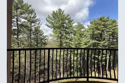 2411 River Road #2451, Wisconsin Dells, WI 53965 - Photo 31