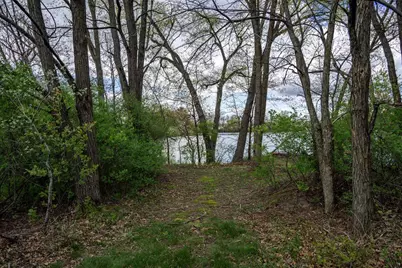 3.66 Ac Hog Island Road, New Lisbon, WI 53950 - Photo 13