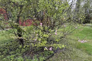 407 Silver Lake Dr, Portage, WI 53901 - Photo 29