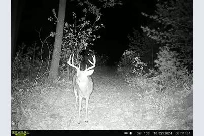 Lot 1 Grayling Avenue, Tomah, WI 54660 - Photo 35