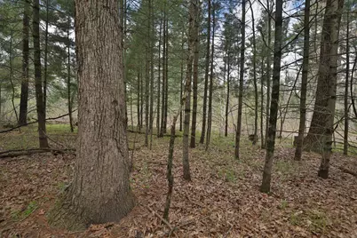 Lot 1 Grayling Avenue, Tomah, WI 54660 - Photo 27
