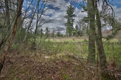 Lot 1 Grayling Avenue, Tomah, WI 54660 - Photo 17