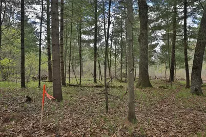 Lot 1 Grayling Avenue, Tomah, WI 54660 - Photo 37