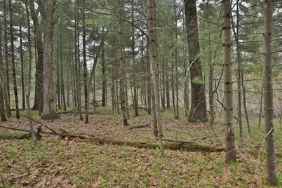 Lot 1 Grayling Avenue, Tomah, WI 54660 - Photo 41