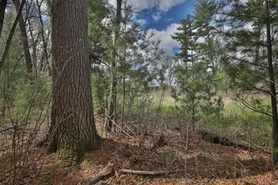 Lot 1 Grayling Avenue, Tomah, WI 54660 - Photo 39