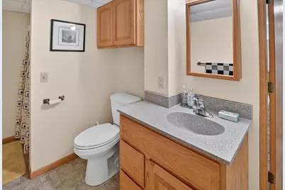 404 Sunset Court, Marshall, WI 53559 - Photo 49