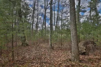 Lot 2 Grayling Avenue, Tomah, WI 54660 - Photo 39