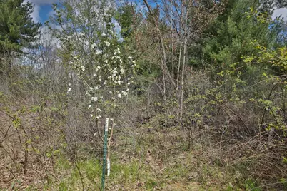 Lot 2 Grayling Avenue, Tomah, WI 54660 - Photo 35