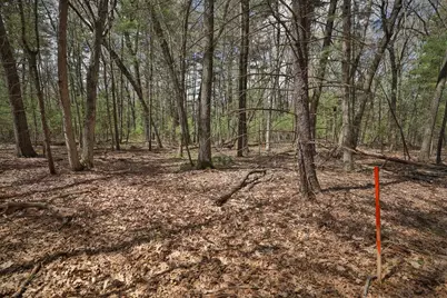 Lot 2 Grayling Avenue, Tomah, WI 54660 - Photo 27
