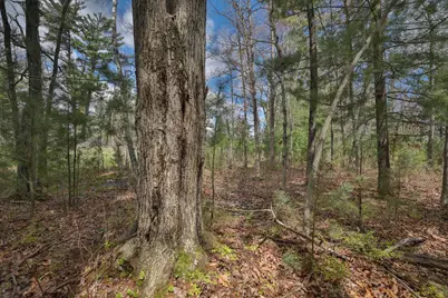 Lot 2 Grayling Avenue, Tomah, WI 54660 - Photo 5