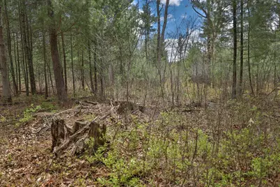 Lot 3 Grayling Avenue, Tomah, WI 54660 - Photo 15