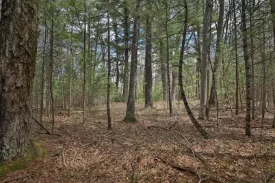 Lot 3 Grayling Avenue, Tomah, WI 54660 - Photo 13