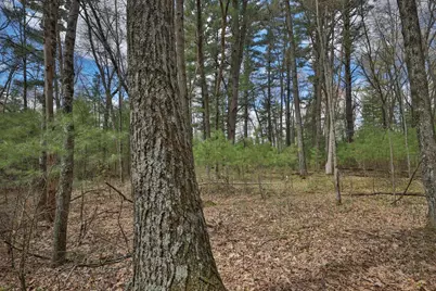 Lot 3 Grayling Avenue, Tomah, WI 54660 - Photo 9