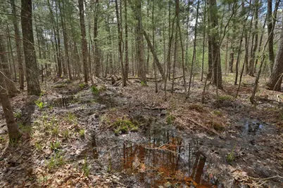Lot 3 Grayling Avenue, Tomah, WI 54660 - Photo 27