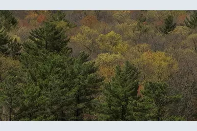 Lot 3 Grayling Avenue, Tomah, WI 54660 - Photo 25