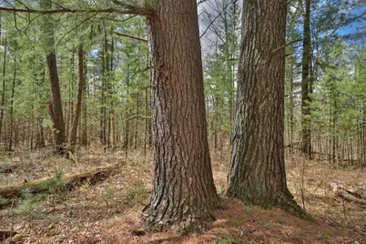 Lot 3 Grayling Avenue, Tomah, WI 54660 - Photo 29