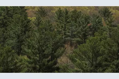 Lot 3 Grayling Avenue, Tomah, WI 54660 - Photo 21