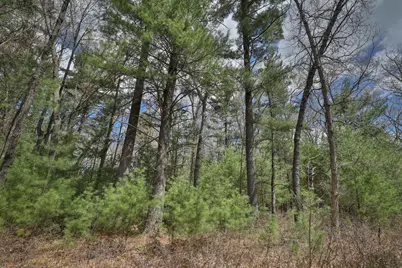 Lot 4 Grayling Avenue, Tomah, WI 54660 - Photo 39