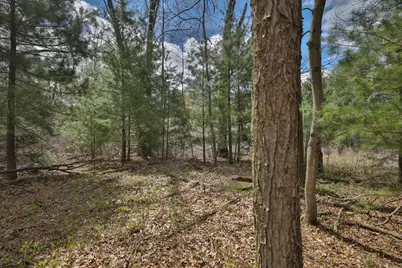 Lot 4 Grayling Avenue, Tomah, WI 54660 - Photo 25