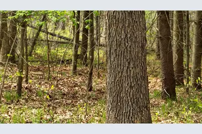 Lot 4 Grayling Avenue, Tomah, WI 54660 - Photo 45
