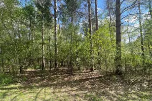 Lots 4 &amp 5 Czech Ln, Friendship, WI 53934 - Photo 1