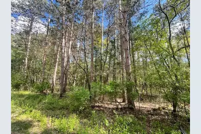 Lots 4 &amp; 5 Czech Lane, Friendship, WI 53934 - Photo 3
