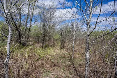 70 Acres 22nd Street, Necedah, WI 54646 - Photo 21