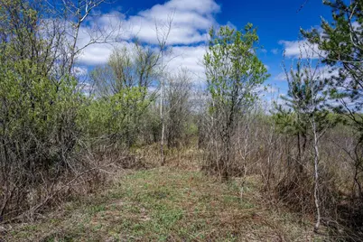 70 Acres 22nd Street, Necedah, WI 54646 - Photo 31