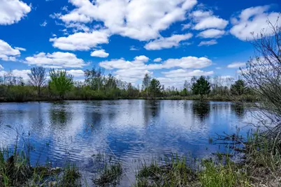 70 Acres 22nd Street, Necedah, WI 54646 - Photo 35