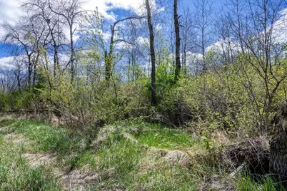 70 Acres 22nd Street, Necedah, WI 54646 - Photo 23
