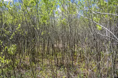 70 Acres 22nd Street, Necedah, WI 54646 - Photo 25