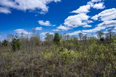70 Acres 22nd Street, Necedah, WI 54646 - Photo 41