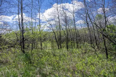 70 Acres 22nd Street, Necedah, WI 54646 - Photo 19