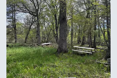30 Acres 6th Avenue, New Lisbon, WI 53950 - Photo 11