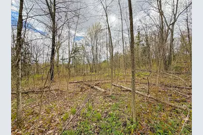 9945 Cty Cc Road, Pittsville, WI 54466 - Photo 73